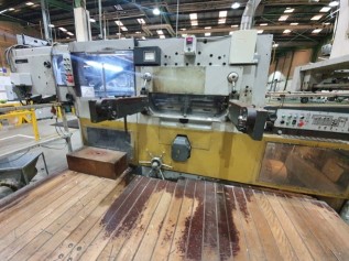 Automatic die cutter
